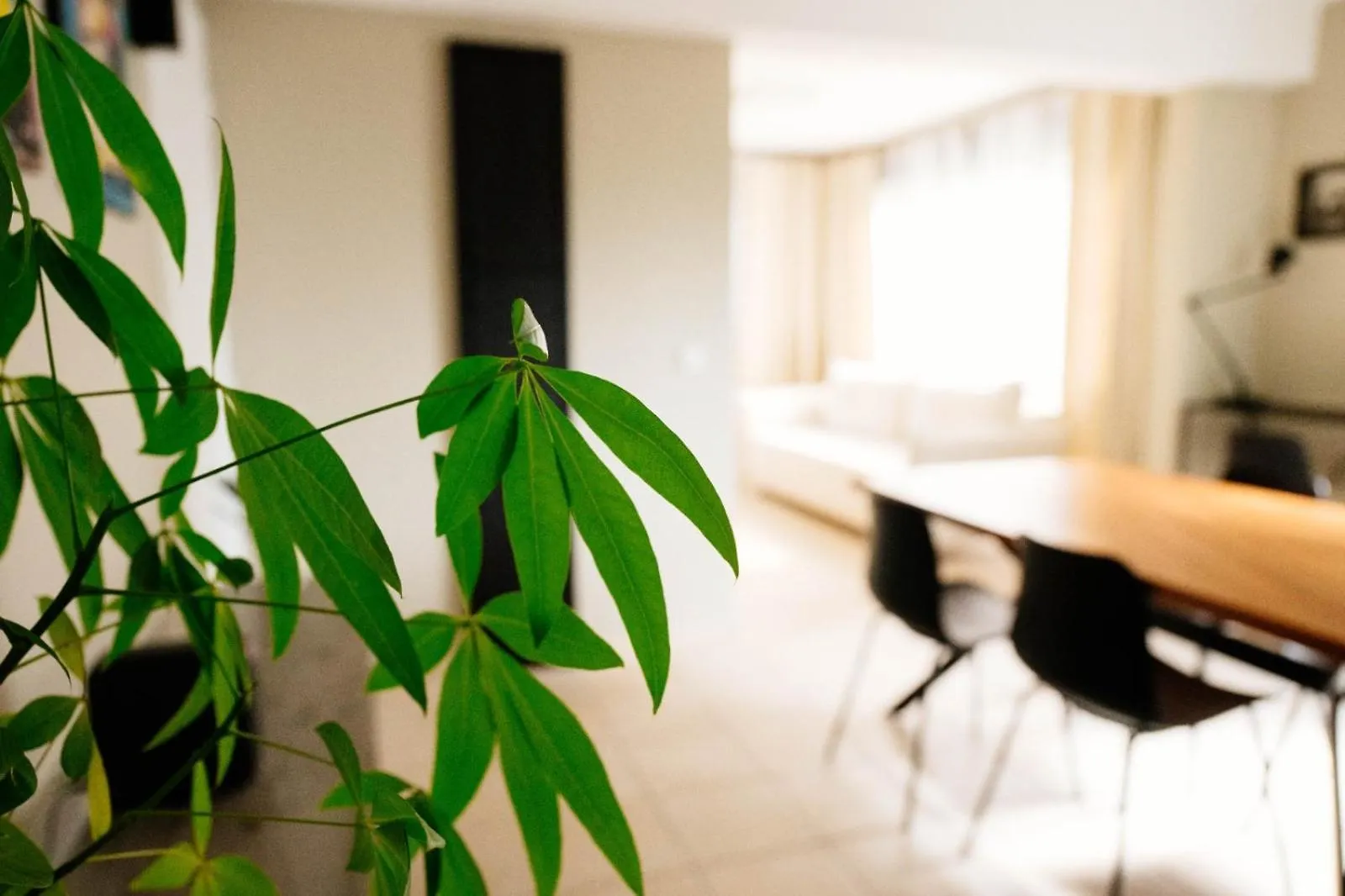 Appartement Votre Oasis De Tranquillite Proche De La Ville T2 Entierement Renove Et Equipe Secteur Centre Fort-de-France