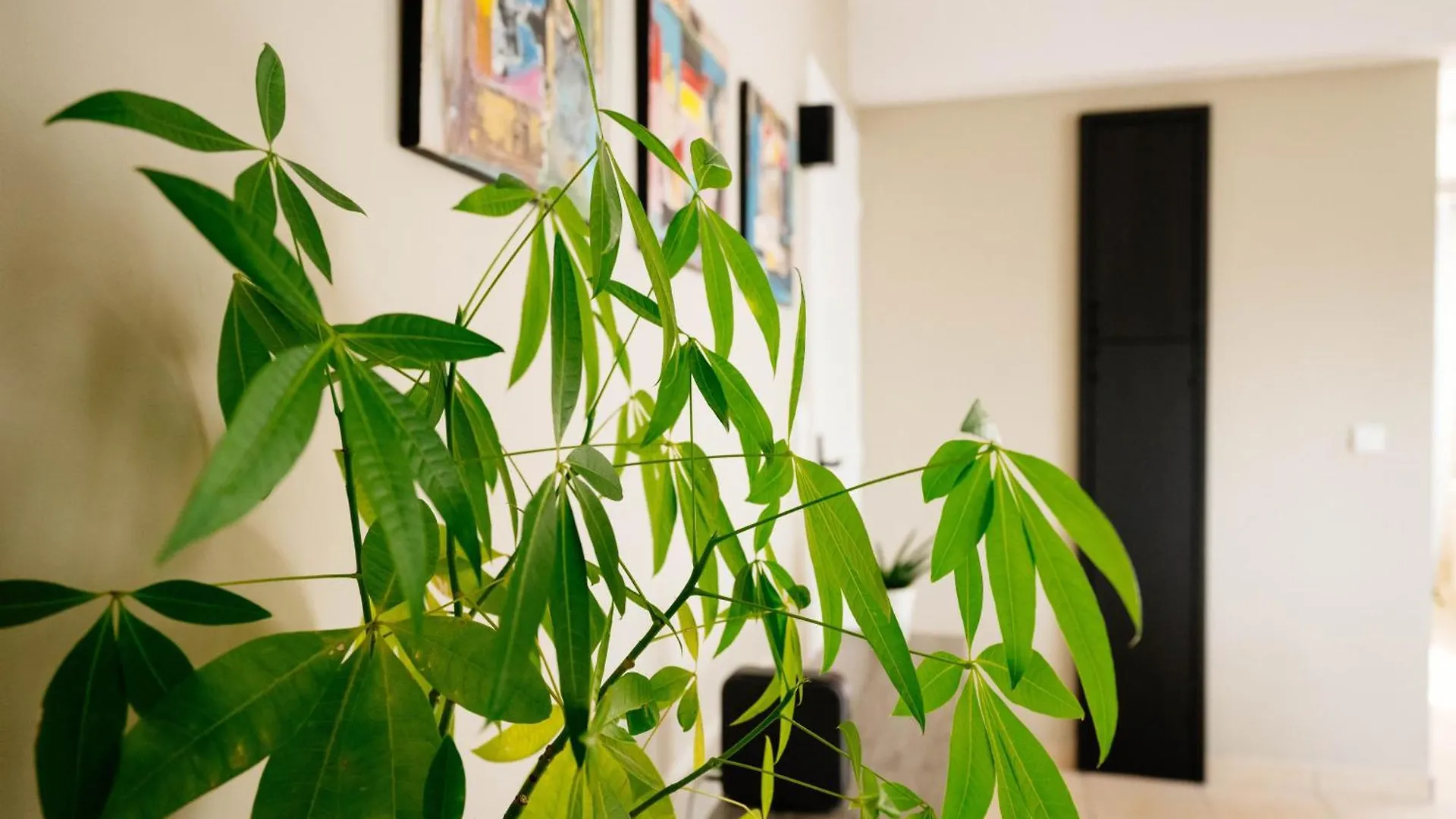 Διαμέρισμα Votre Oasis De Tranquillite Proche De La Ville T2 Entierement Renove Et Equipe Secteur Centre Φορ-ντε-Φρανς